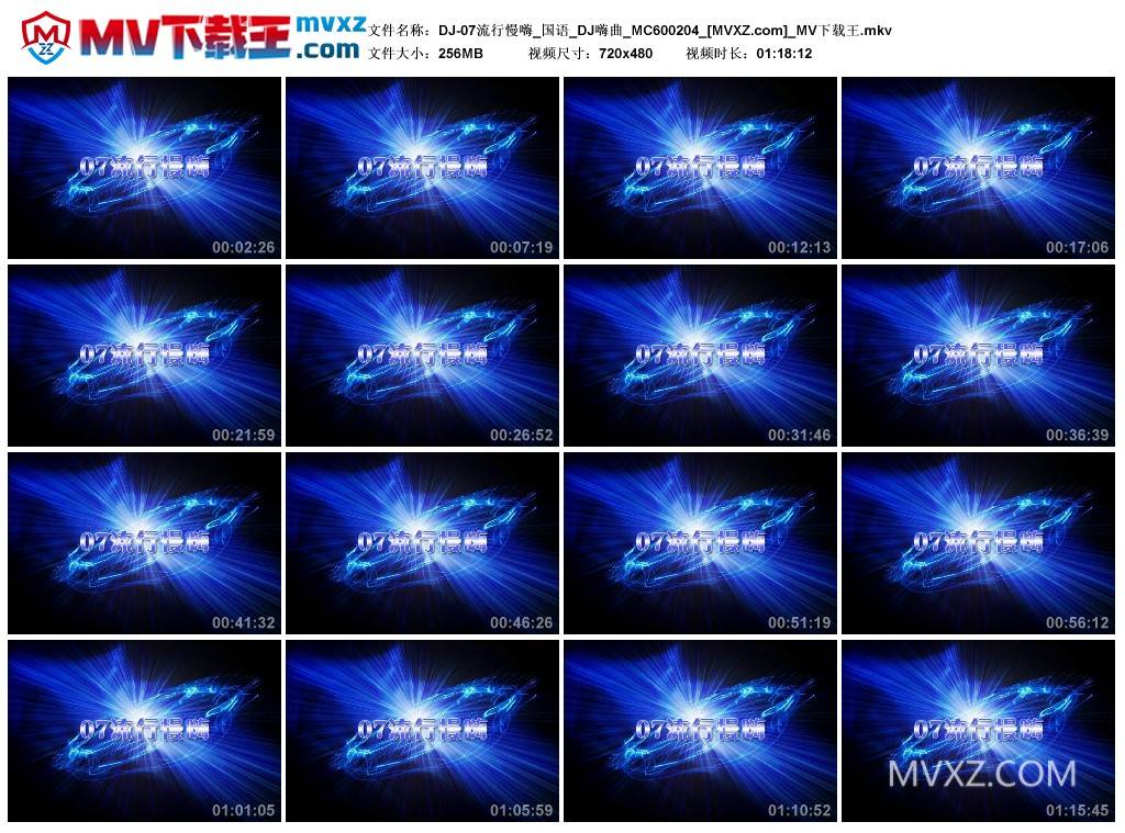 DJ-07流行慢嗨_国语_DJ嗨曲_MC600204